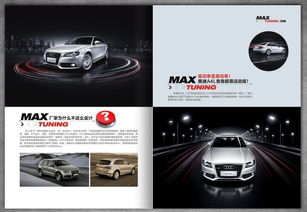 麦斯刷ECU升级与汽车用品加盟全解析 从装修图到装饰用品的成功之道